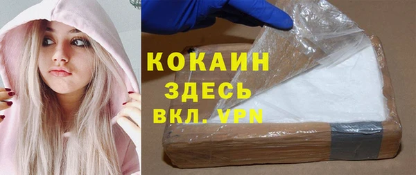 соль ск Абаза