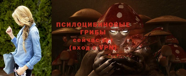 бошки Алзамай