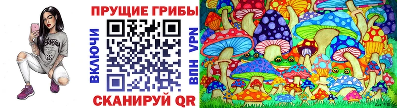 где можно купить наркотик  blacksprut ТОР  Псилоцибиновые грибы MAGIC MUSHROOMS  Грозный 